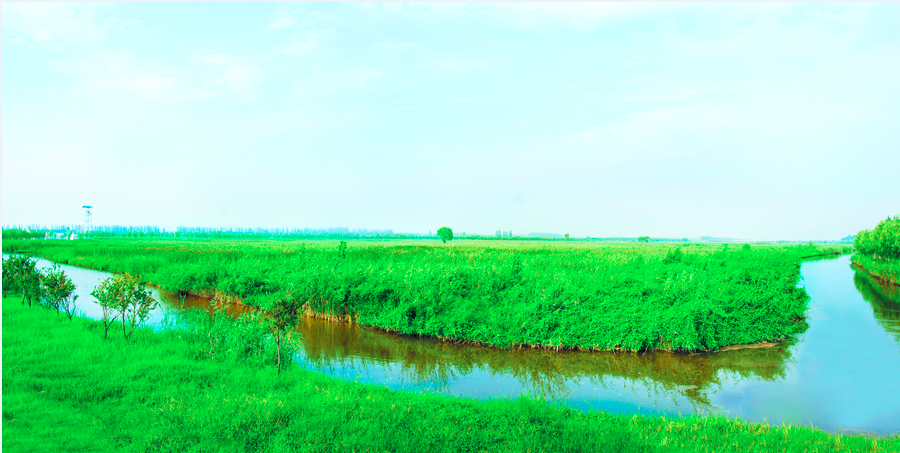 赛事预告｜ 环中原新乡站：七夕，在爱情圣地来场情侣接力