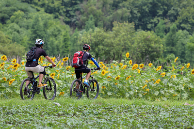 关于自行车骑游，新手经常会遇到的9个问题