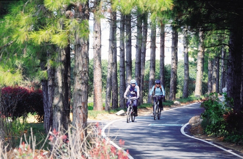 关于自行车骑游，新手经常会遇到的9个问题