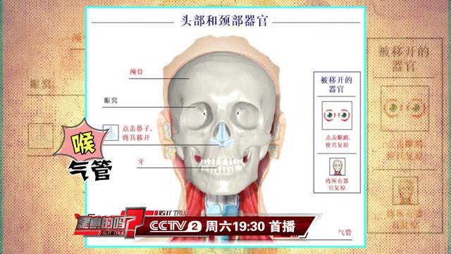 骑行必读：戴耳机骑车可能有致命危险！