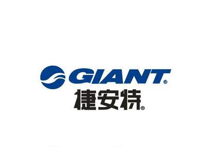 捷安特召回超65万辆自行车前轮碟刹存安全隐患