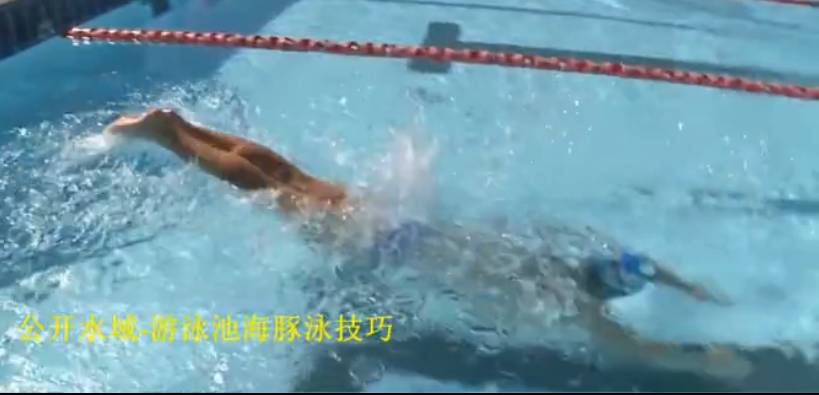 铁三游泳技巧 - 海豚泳
