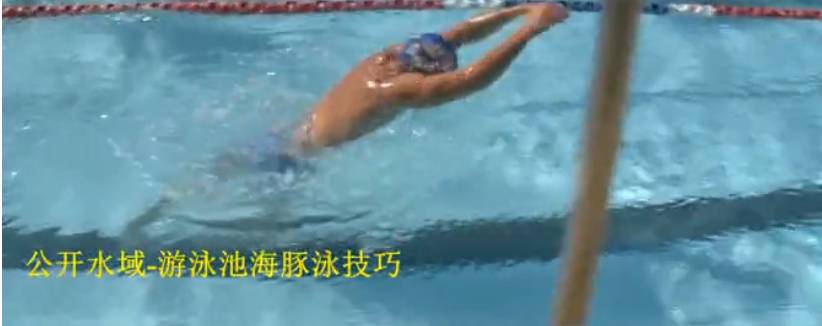 铁三游泳技巧 - 海豚泳