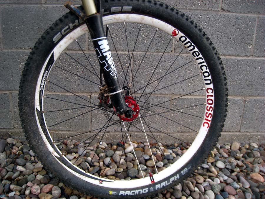 素敵な Classic American Mtb www.levitan.com | 2025 Wheels リム、スポーク