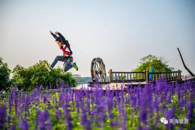 骑行路线推荐：5个南海避世小岛，赏日落叹名菜！