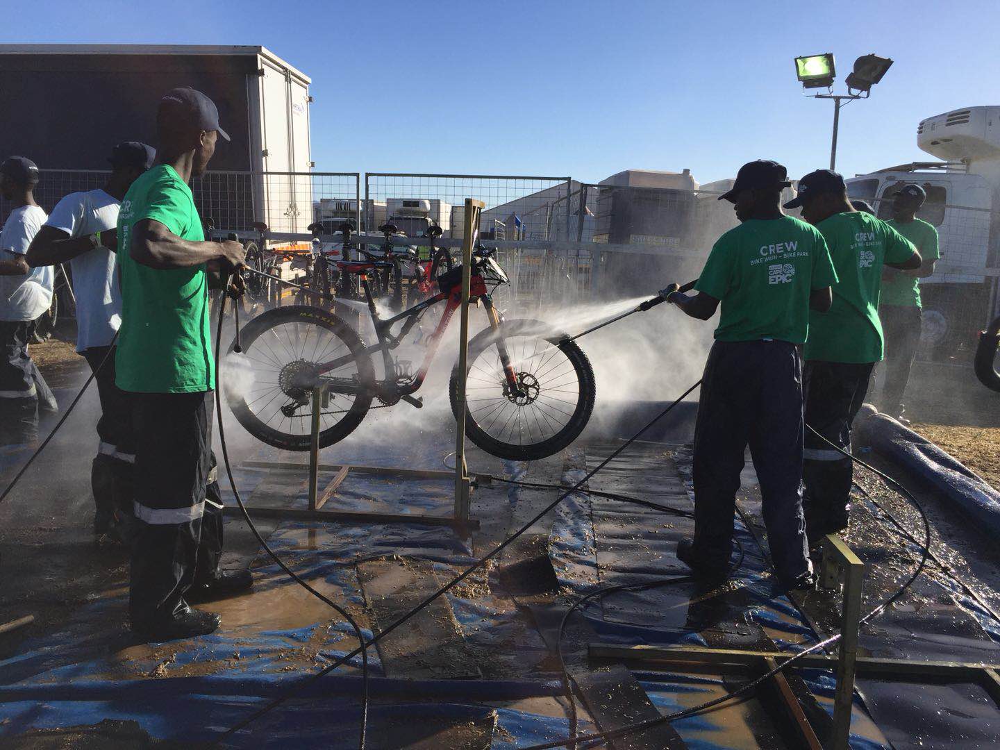 野途,野途传媒,wildto