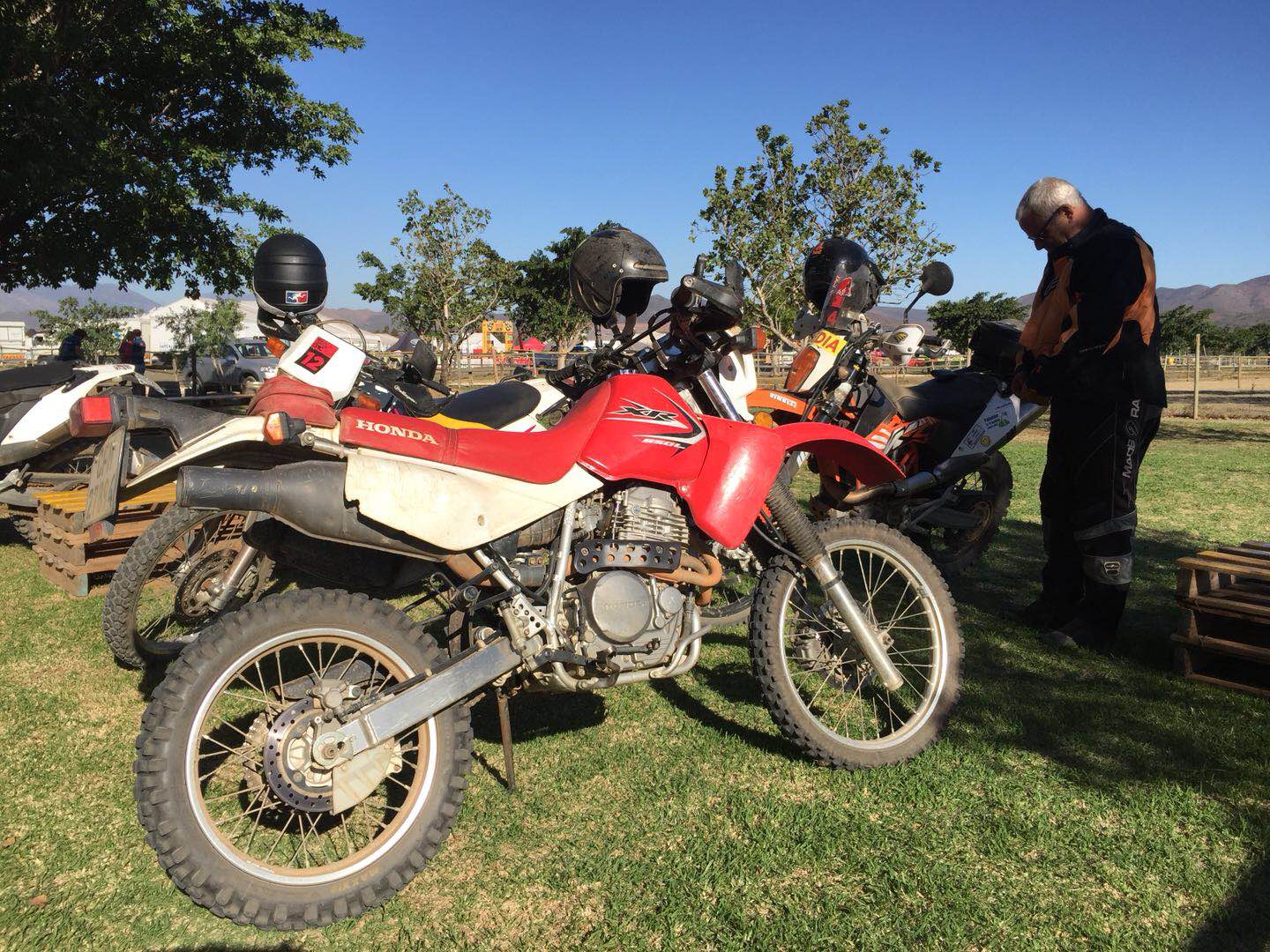 野途,野途传媒,wildto