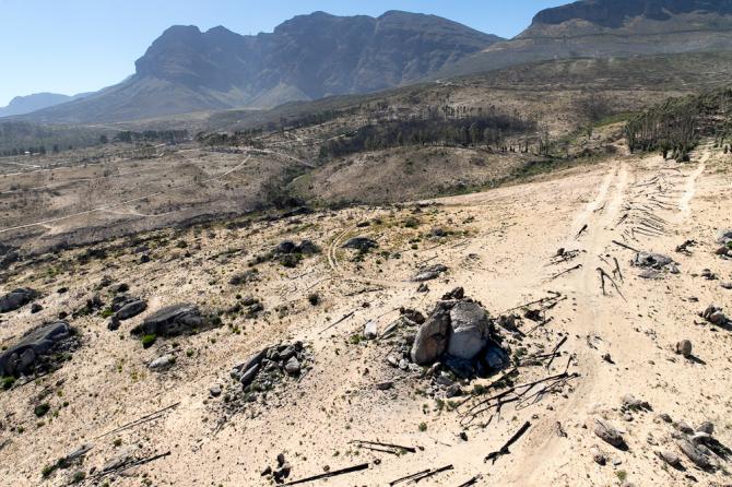 Cape Epic S4：中國車手發(fā)揮穩(wěn)定 張諾和張曦浠躋身前十