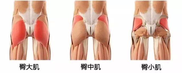 跑步不练臀，你等于白跑了