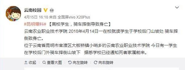 悲剧！云南一大学生骑车摔倒身亡 下坡路段刹车不及 头着地…