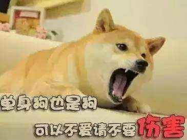 520｜ 骑行圈单身汪注意啦！评论有奖 精美礼品等你拿