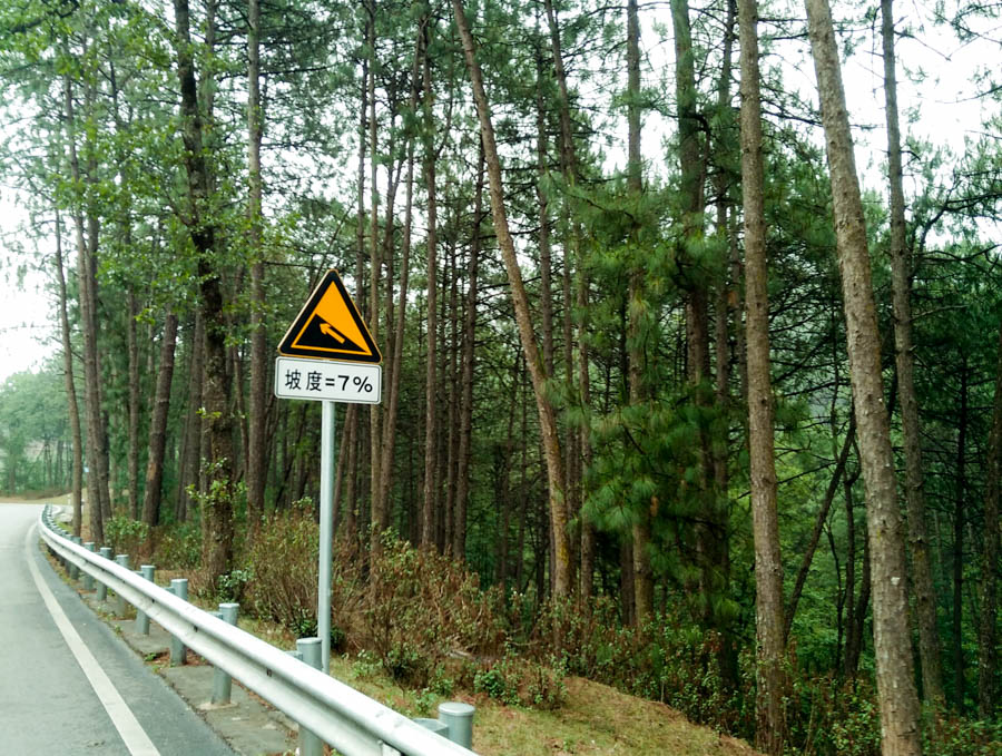 胖強尋山記｜騎行大美涼山  醉賞杜鵑花海  品味彝族風情
