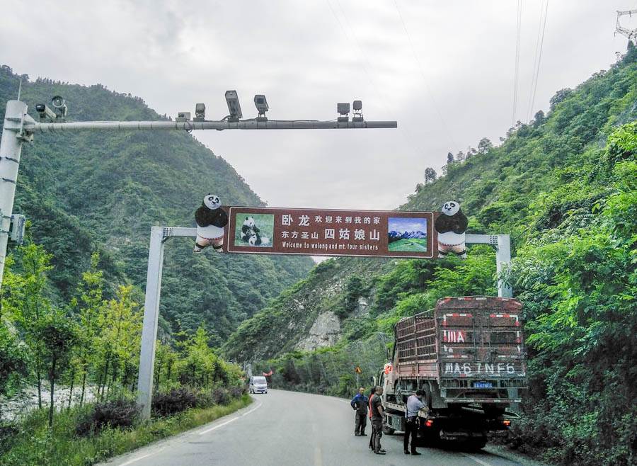 胖強(qiáng)尋山記｜熊貓王國(guó)之巔巴郎山：翻雪山 抗高反  自虐+暴爽