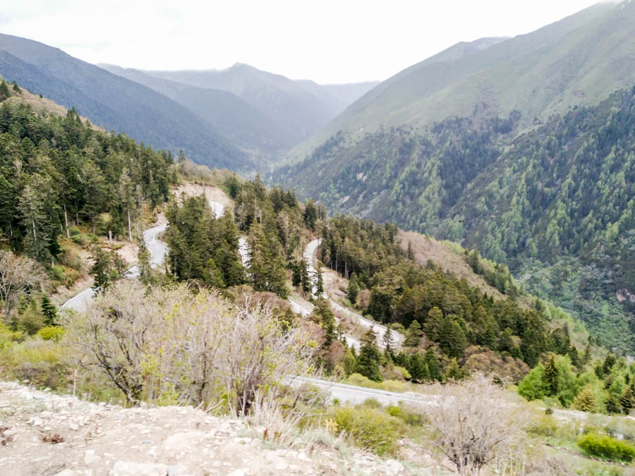 胖强寻山记｜熊猫王国之巅巴郎山：翻雪山 抗高反  自虐+暴爽