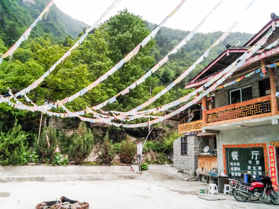 胖強(qiáng)尋山記｜熊貓王國(guó)之巔巴郎山：翻雪山 抗高反  自虐+暴爽