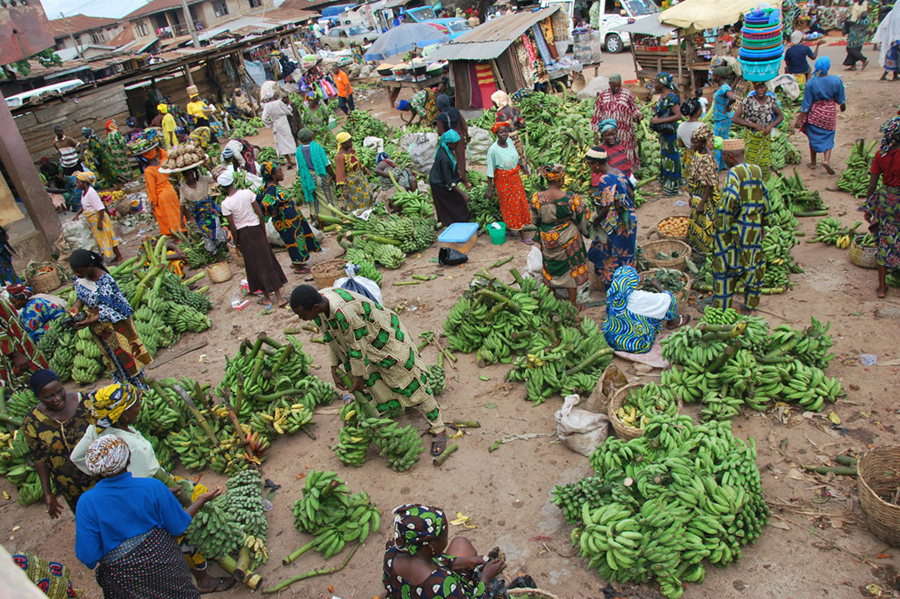 非洲小伙骑中国自行车创业运送香蕉，养家糊口就靠这一辆车