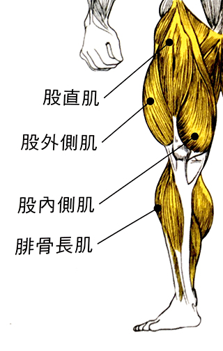 正确的踩踏有效提升瓦数