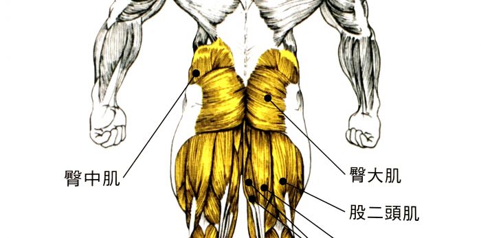 正确的踩踏有效提升瓦数