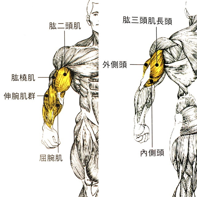 正确的踩踏有效提升瓦数
