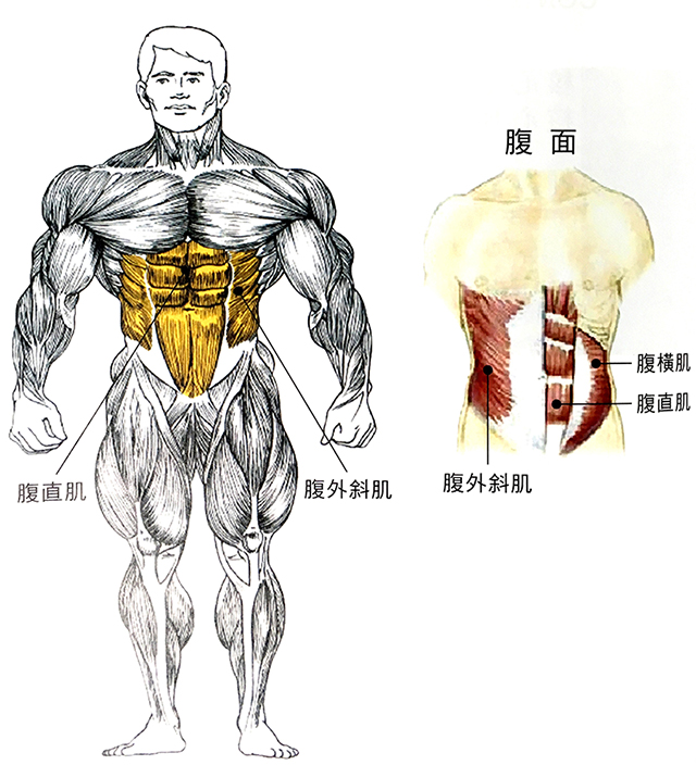 正确的踩踏有效提升瓦数