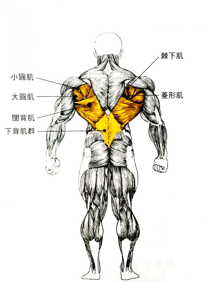 阔背肌支撑你的脊柱小小知识家,骑车腿部画圆小步骤:蹬,拉,提,踢.