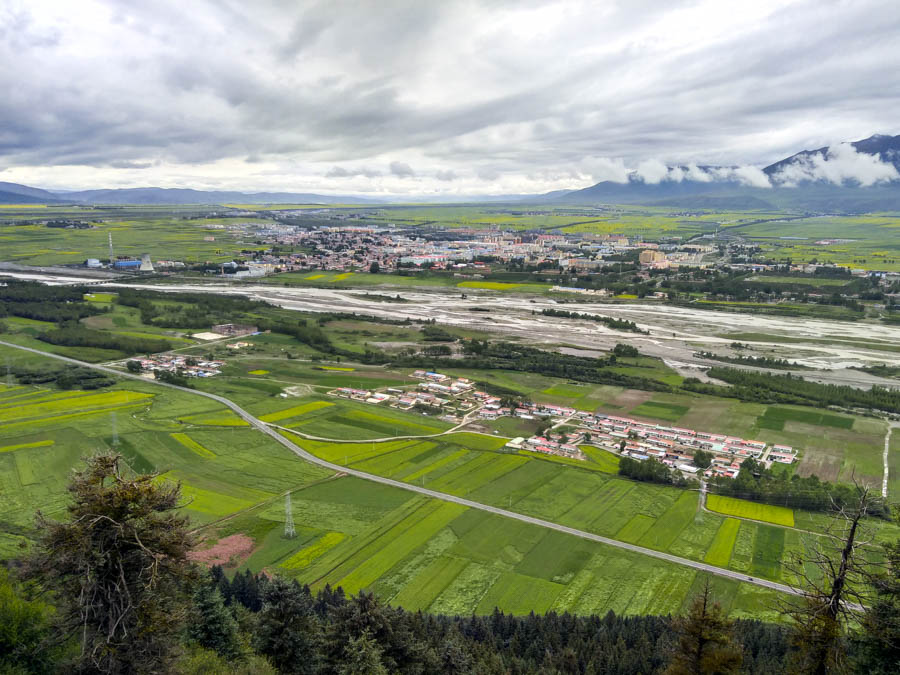 胖强寻山记｜相约金色门源  与魁哥骑赏百里油菜花海