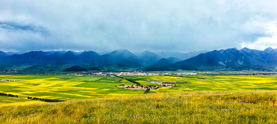 胖强寻山记｜相约金色门源  与魁哥骑赏百里油菜花海