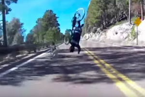 美国一男子骑车下坡 撞上鹿  结果....（附视频）