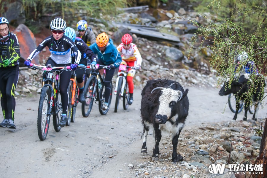 风云秀场｜张曦浠：从“赛场新人” 到最具人气女车手