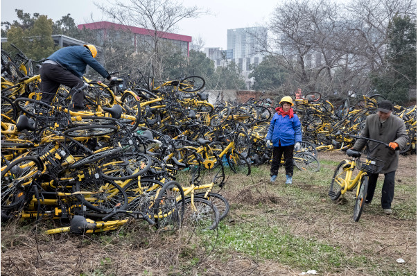 触目惊心  一场共享单车的“火葬”