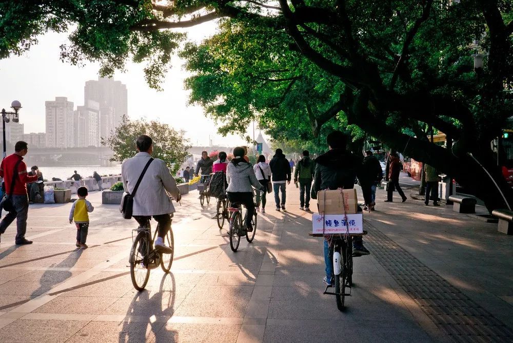 如何在车流中活下来——城市骑行生存指南