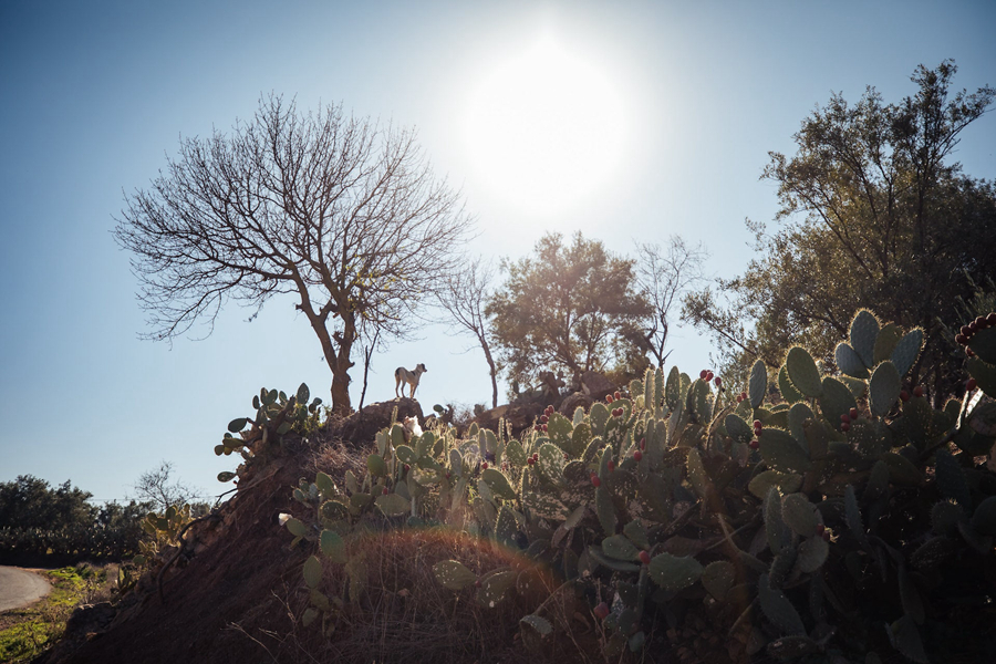 骑行穿越阿特拉斯山脉  一场“心灵+探险”之旅