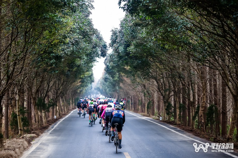 鹽城黃海濕地公路賽 黃京勝兩“鑫”