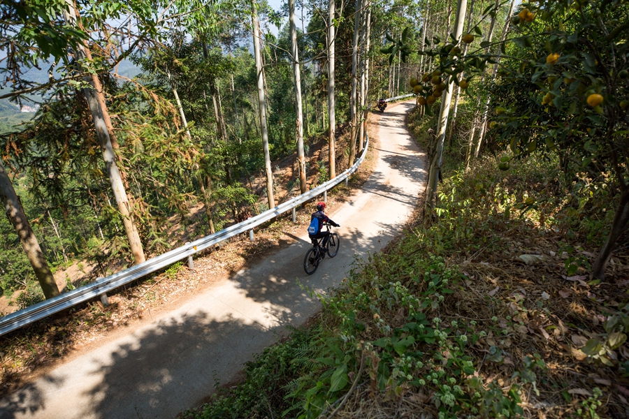 诺飞客连胜绝杀 环大湾区自行车赛惠州罗浮山站