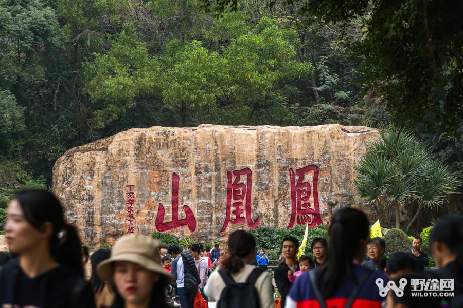 JAVA杯第十届凤凰山山地赛 单飞哥黄广鸿冠绝全场
