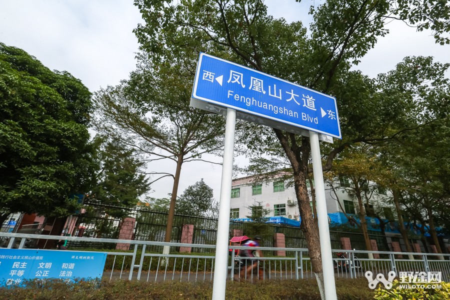 JAVA杯第十届凤凰山山地赛 单飞哥黄广鸿冠绝全场