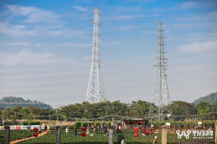 JAVA杯第十届凤凰山山地赛 单飞哥黄广鸿冠绝全场