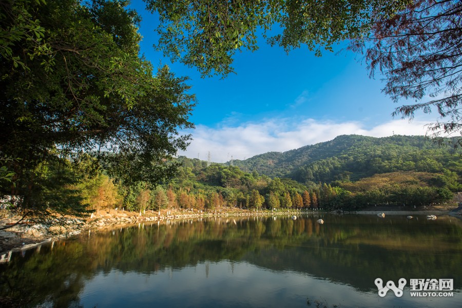 JAVA杯第十届凤凰山山地赛 单飞哥黄广鸿冠绝全场