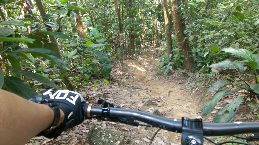 75岁山地车手遭响尾蛇咬   竟还骑行30分钟求救