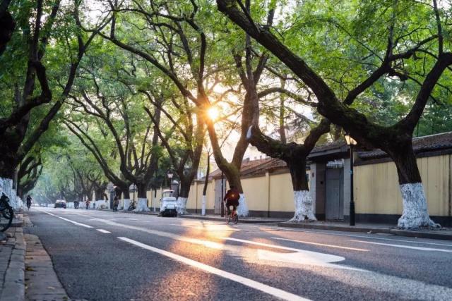 解锁南京鼓楼骑行线路  最美的风景都在脚下