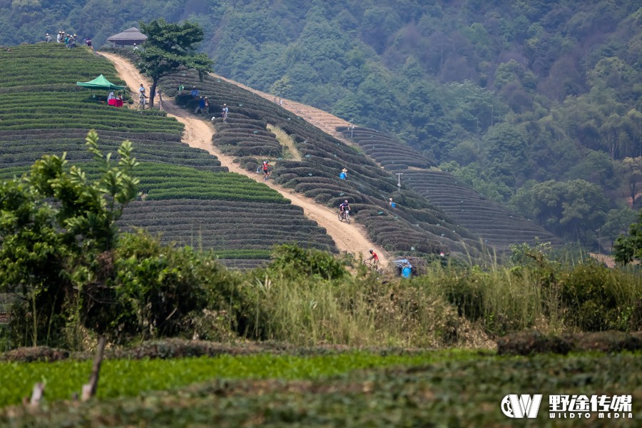 浙江联赛首站 | 龙坞茶镇 最美赛道 米久江成功卫冕