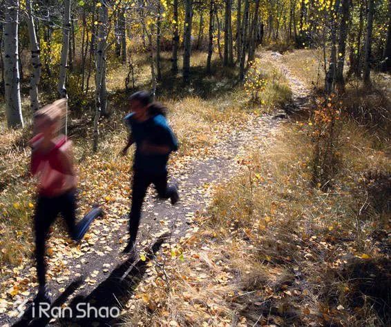 不要再看月跑量  科学跑者都在用周跑量衡量训练状态