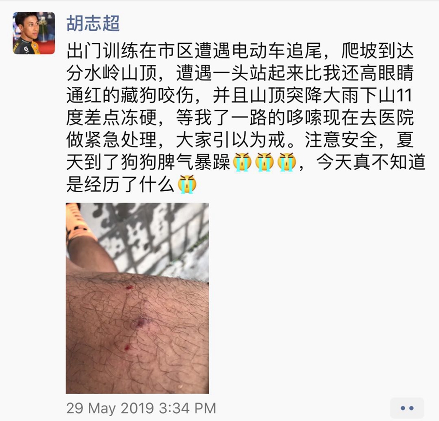 亲身经历！遇熊追 被狗咬 野外骑行如何保障人身安全