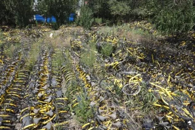 再现“单车坟场”！太原集中存放6万余辆遗弃共享单车