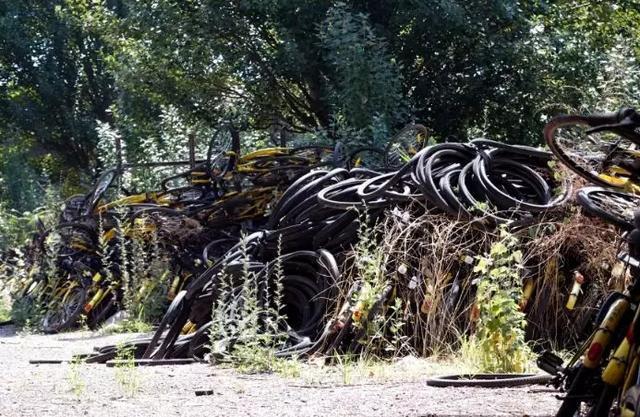 再现“单车坟场”！太原集中存放6万余辆遗弃共享单车