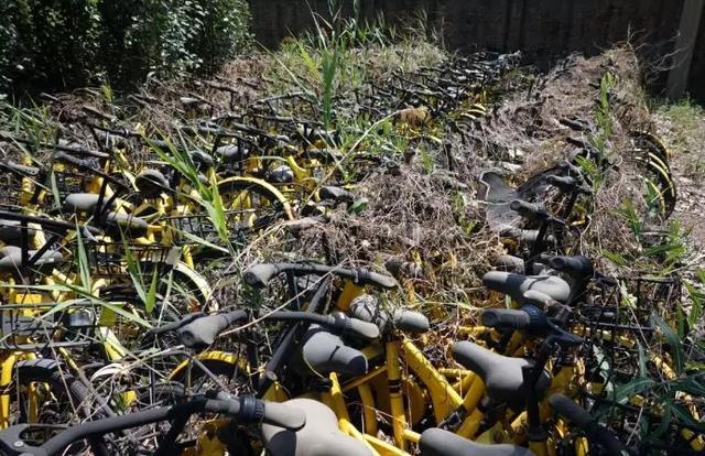 再现“单车坟场”！太原集中存放6万余辆遗弃共享单车