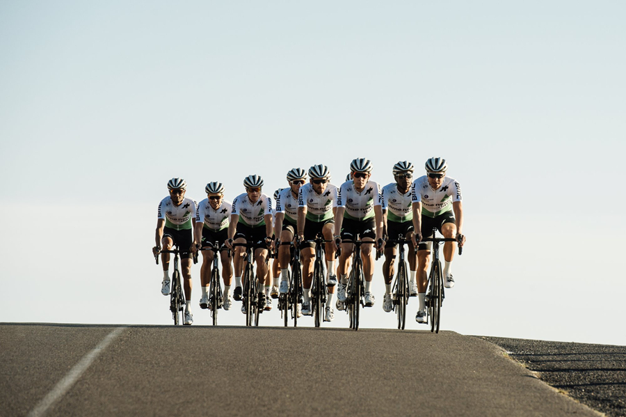 岱凯车队将于2020年更名为NTT车队