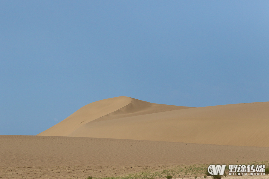 环湖赛S11：无惧沙漠高温 艾弗汀·罗伊率先抵达腾格里