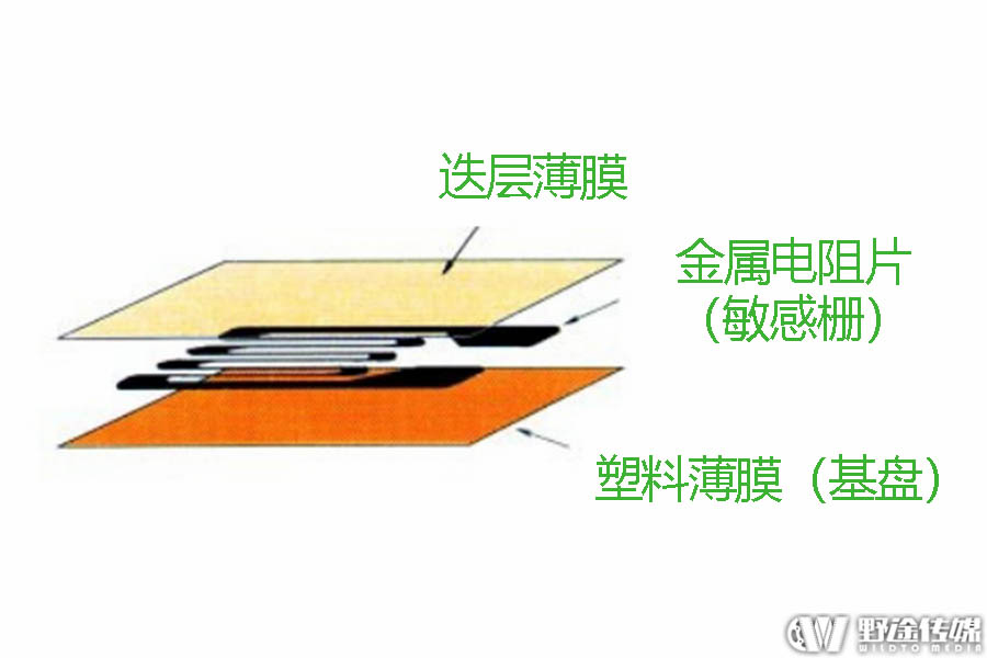 深度剖析功率计的结构与原理：应变片