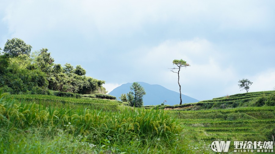首屆霞浦溪西全國山地越野邀請賽  郭鑫偉強(qiáng)勢奪冠